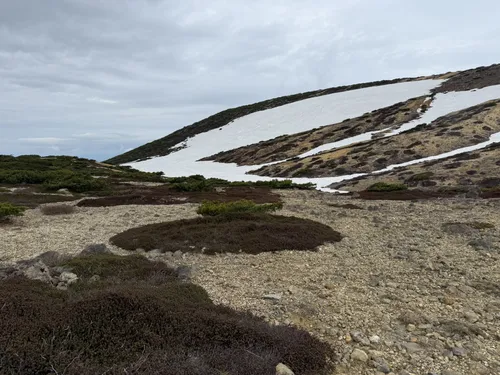 蔵王山 ZAO PEAK － 蔵王山水苑・ガイアリゾート ＾ 宿泊予約