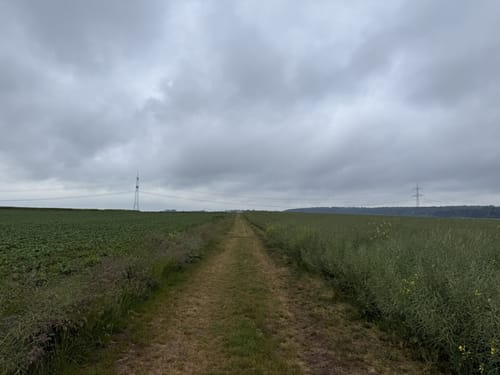 Bündesheim - Groß Kraben