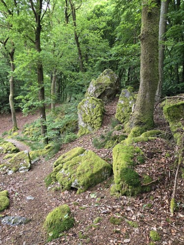 Schiefer-Wackenweg (Traumschleife)