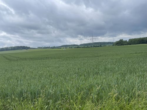 Heiderhof - Gimmersdorf