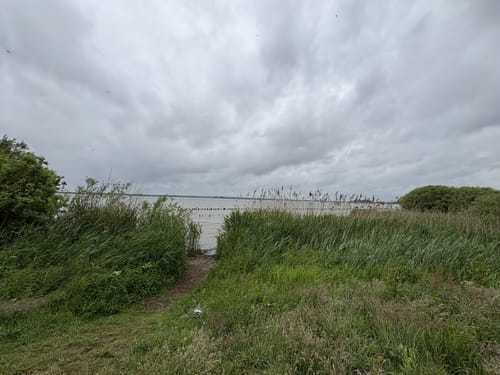 Wanderweg Dümmerdeich