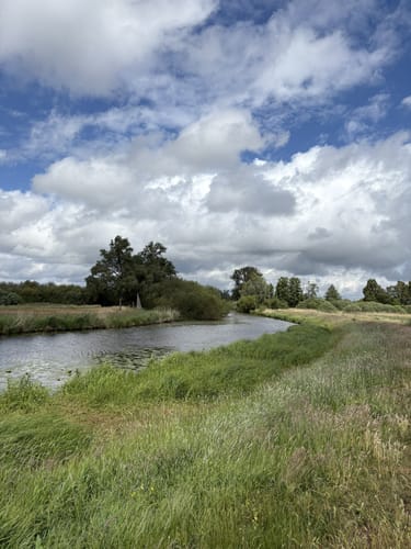 Wanderweg Dümmerdeich