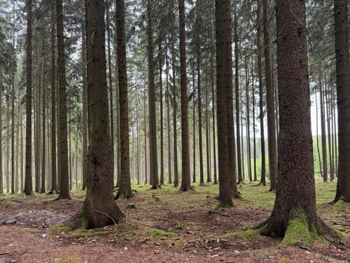 Eubabrunn - Siebenbrunn - Wohlhausen