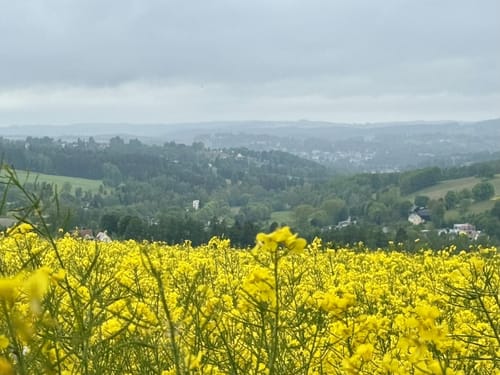 Eubabrunn - Siebenbrunn - Wohlhausen