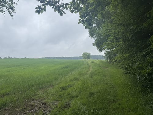 Jurasteig Wolfsfährte zur Weissen Frau
