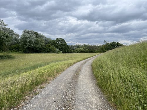Neupotz - Fischerweg