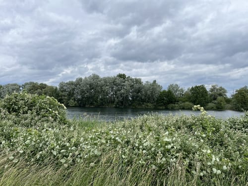 Neupotz - Fischerweg