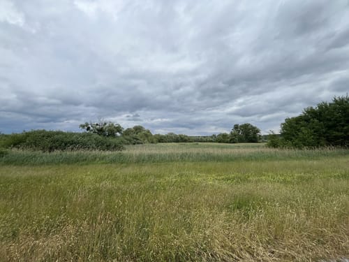 Neupotz - Fischerweg