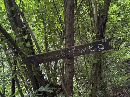 Streuobstwiesenweg (Traumpfad)