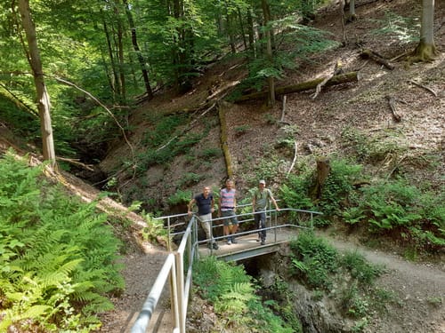 Klosterweg (Premiumwanderweg)