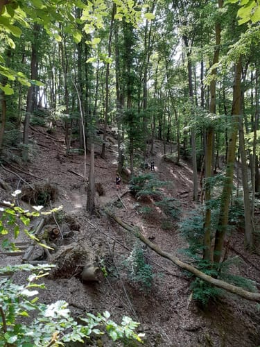 Klosterweg (Premiumwanderweg)