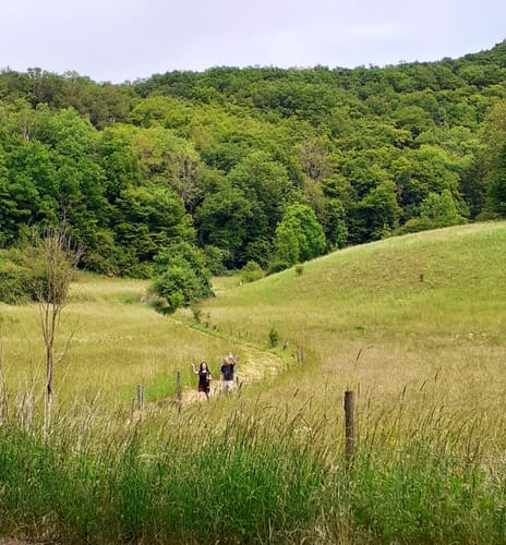Klosterweg (Premiumwanderweg)