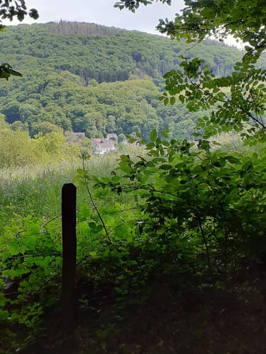 Klosterweg (Premiumwanderweg)