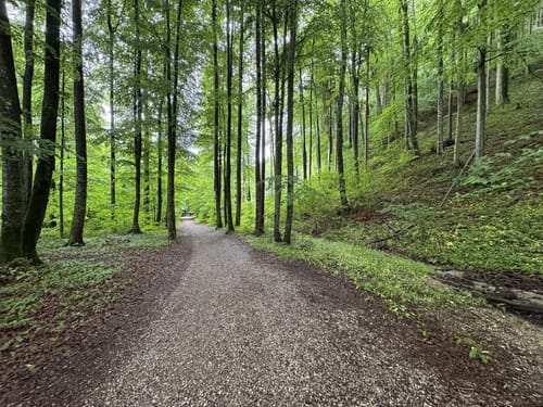 Aschau - Hohenaschau