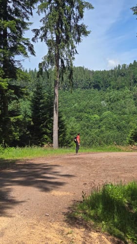 Sulz Lauf