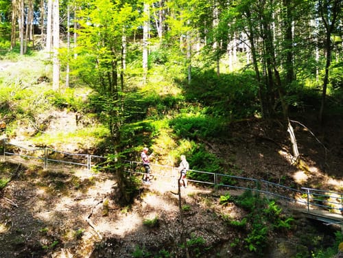 Klosterweg (Premiumwanderweg)