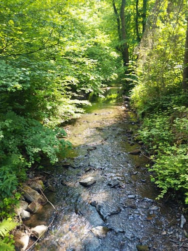 Klosterweg (Premiumwanderweg)