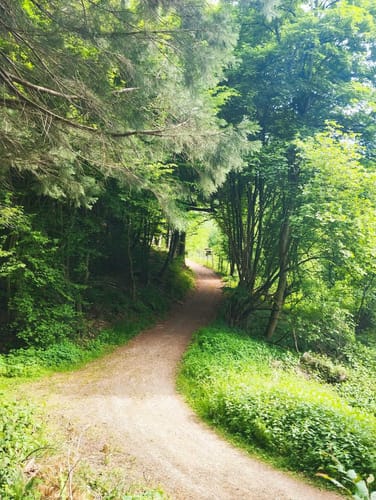 Klosterweg (Premiumwanderweg)