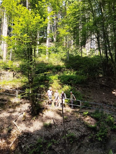 Klosterweg (Premiumwanderweg)