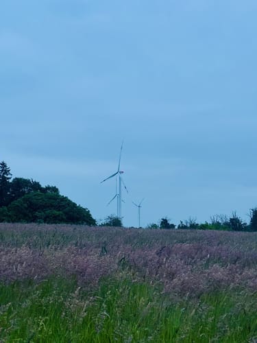 Homberger Weg