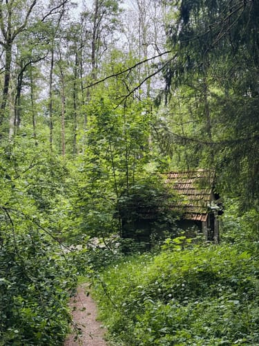Homberger Weg
