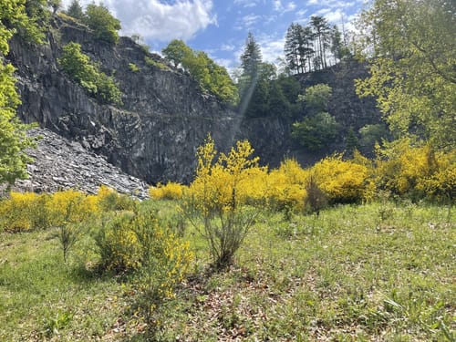 Wittgensteiner Schieferpfad (Premiumwanderweg)