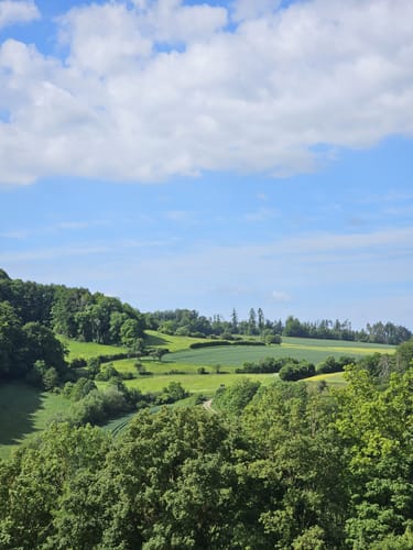 Asbach-Sickenberg P16 (Premiumwanderweg)