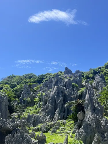 大石林山 - hikes and trails to get you there | AllTrails