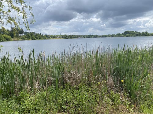 Losheim - Seegarten - Stausee