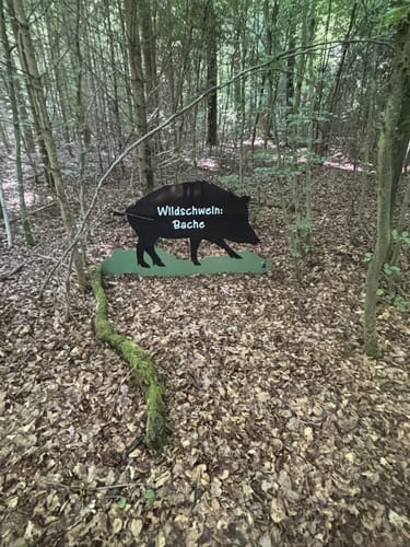 Wichtelpfad Sievershausen