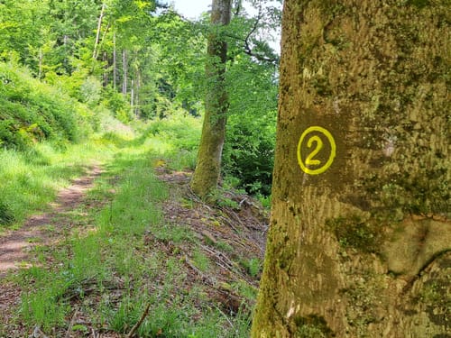 Rundwanderweg Schneeberg Morretal 2: Tal-Weg