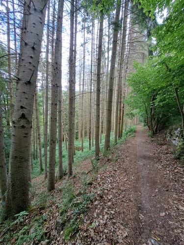 Rundwanderweg Schneeberg Morretal 2: Tal-Weg