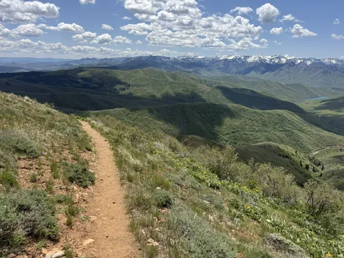 Big Mountain - hikes and trails to get you there | AllTrails