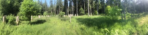 Bunkerruine Mühldorfer Hart
