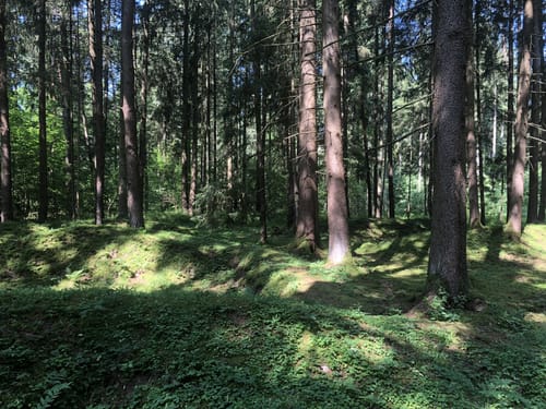 Bunkerruine Mühldorfer Hart
