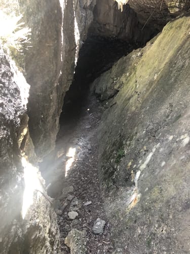 Bunkerruine Mühldorfer Hart