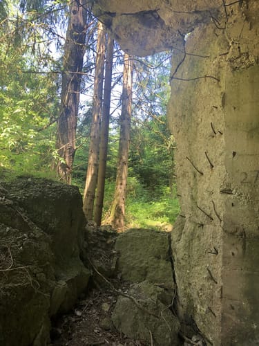 Bunkerruine Mühldorfer Hart