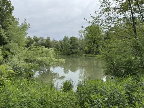 Kolomanbrücke und Isarstrand bei Ismaning