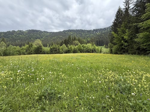 Stuiben Klettersteig