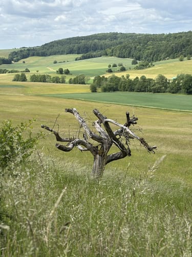 Vulkanring Vogelsberg Etappe 1: Laubach - Eichelsdorf