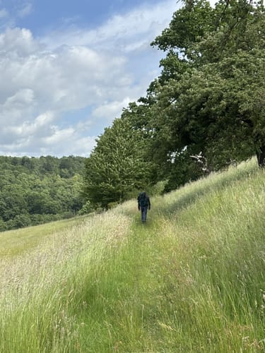 Vulkanring Vogelsberg Etappe 1: Laubach - Eichelsdorf