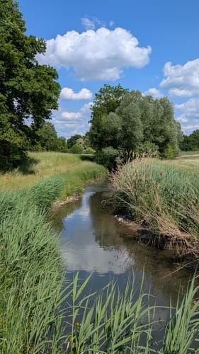 Geschichts- und Naturlehrpfad Rheinau