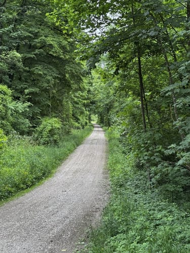 Isarrunde ab Fischerhäuser