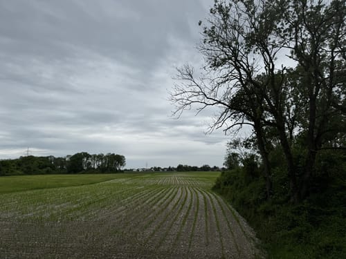 Isarrunde ab Fischerhäuser
