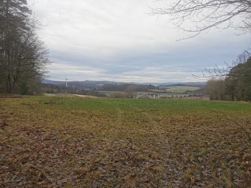 Kurpark Bad Hersfeld - Reckerode - Eichhof