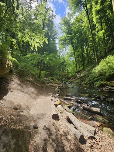 Trippstadt - Burg Wilenstein -Karlstalschlucht