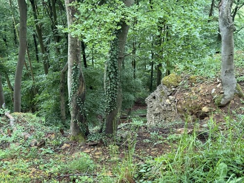 Rohdetal - Frankenburg