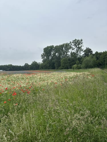 Hackenbroich Rundweg A4