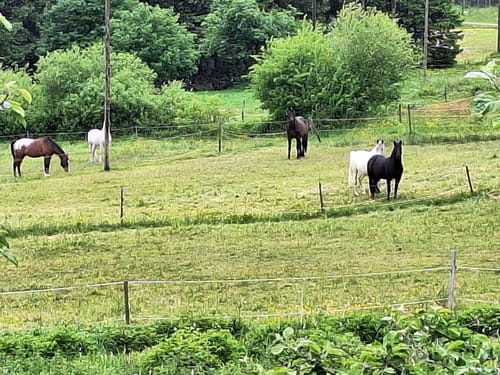 Gunsenburg - Sitzerath