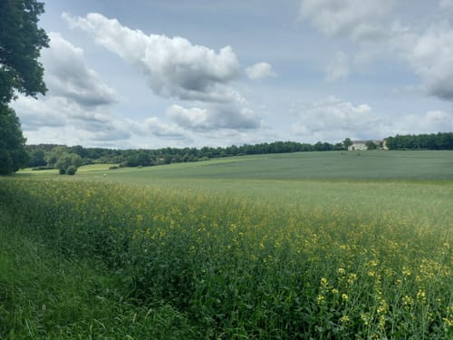 Rund um Penkhof